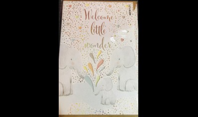 Greeting card- Welcome Little Wonder - Greeting Card (WAS £2.75)