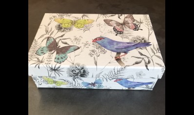 Gift Box -Size 3 - Bird & Butterfly - 20% Off was £4.95
