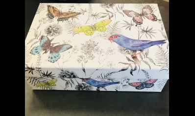 Gift Box - Size 5-  Bird & Butterfly - 20% Off was £6.75