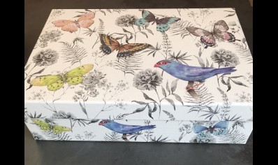 Gift Box -Size 7-  Bird & Butterfly -20% Off was £8.95