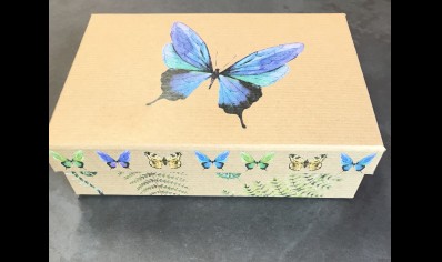 Gift Box- Size 1- Blue Butterfly - 20% Off was £2.95