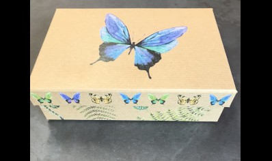 Gift Box- Size 1- Blue Butterfly - 20% Off was £2.95