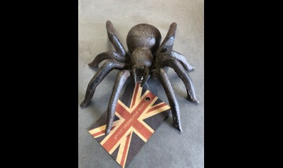 Spider Cast Iron - Wall Hanging- Garden Ornament