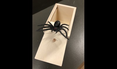 Spider- Jumping Spider Trick Box