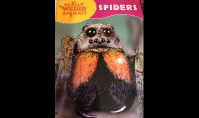 Childrens: Really weird Animals - Spiders