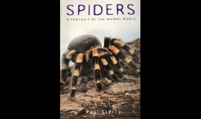 Spiders : Paperback- A Portrait of the Animal World- Paul Sterry