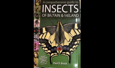 A Guide to Insects of Britain & Ireland