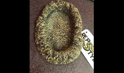 RS - Rainforest Dish Small