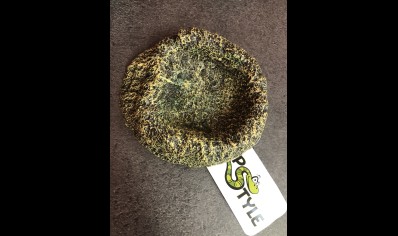 RS - Rainforest Bowl Medium
