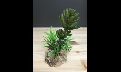 RS- Desert Plant with Rock Base- 7.5 x 6 x 12cm