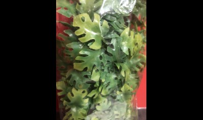 PLASTIC PLANT: MEDIUM AMAZONIAN PHYLLO