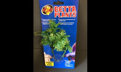 PLASTIC SUCTION PLANT: WINDOW LEAF