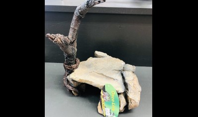 Deco line: Cave with branch