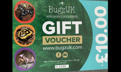 £10.00 voucher