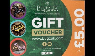 £5.00 gift voucher