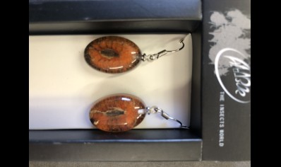 Earrings- With Scorpion pendants- Oval