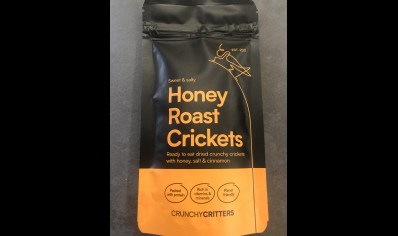 Honey Roast Crickets 30g