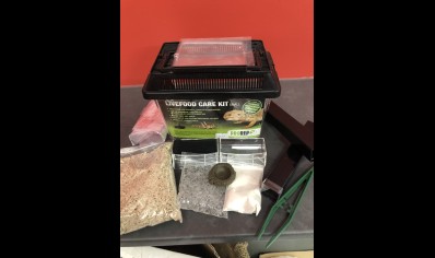 Pro Rep: Live food care kit (small)