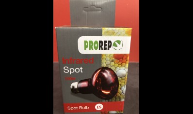 Pro Rep Infrared spot 100 watts
