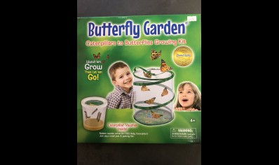 Butterfly Garden