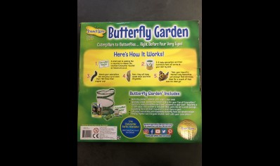 Butterfly Garden