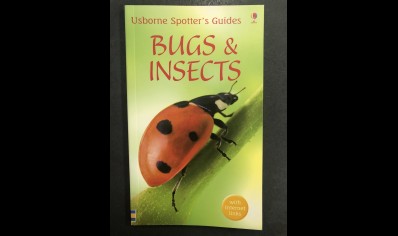 Children: Bugs & Insects