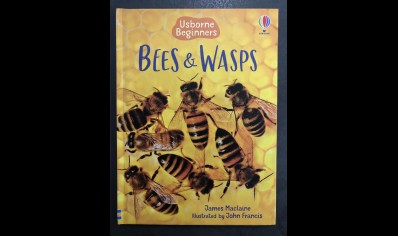 Children: Bees & Wasps