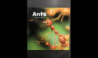 Children: Ants