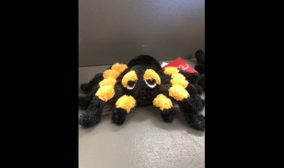 Spindra Tarantula plush toy- Small