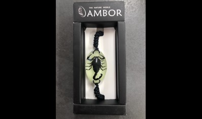 Scorpion Bracelet- Glow in the Dark