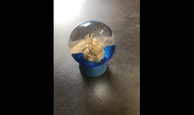 Paperweight Globe mini - Crab in a Solid resin  on a plastic base