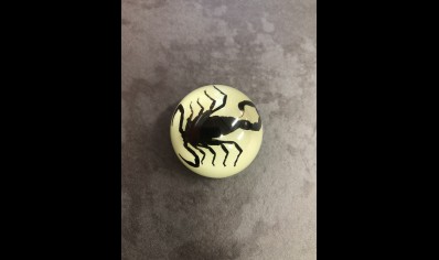 Fridge Magnet- Black Scorpion- (Glow in the dark)