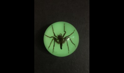 Fridge Magnet- Spider ( Glow in the dark )