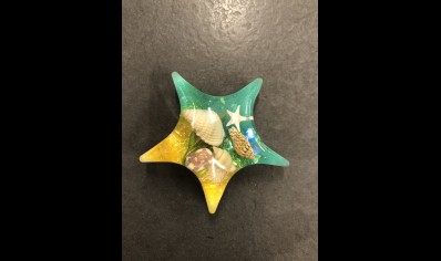 Fridge Magnet- Star shape with sea shells and starfish