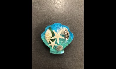Fridge magnet- Shell shape with sea shells & starfish