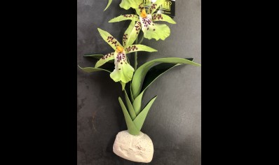 Artificial Spider Orchid Plant 39 x20 cm