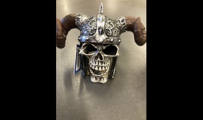 Viking Skull