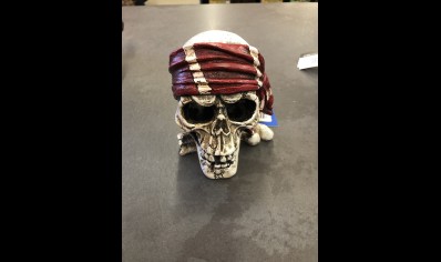 Pirate Skull